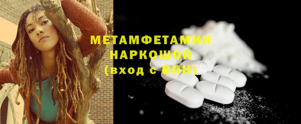 ПСИЛОЦИБИНОВЫЕ ГРИБЫ Богданович