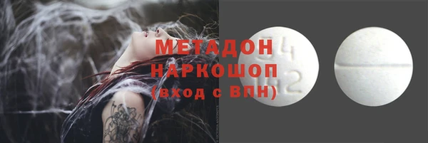 ПСИЛОЦИБИНОВЫЕ ГРИБЫ Богданович