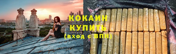 ПСИЛОЦИБИНОВЫЕ ГРИБЫ Богданович