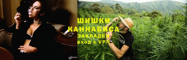 ПСИЛОЦИБИНОВЫЕ ГРИБЫ Богданович