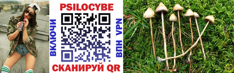 Галлюциногенные грибы Psilocybe хочу наркоту Новая Усмань